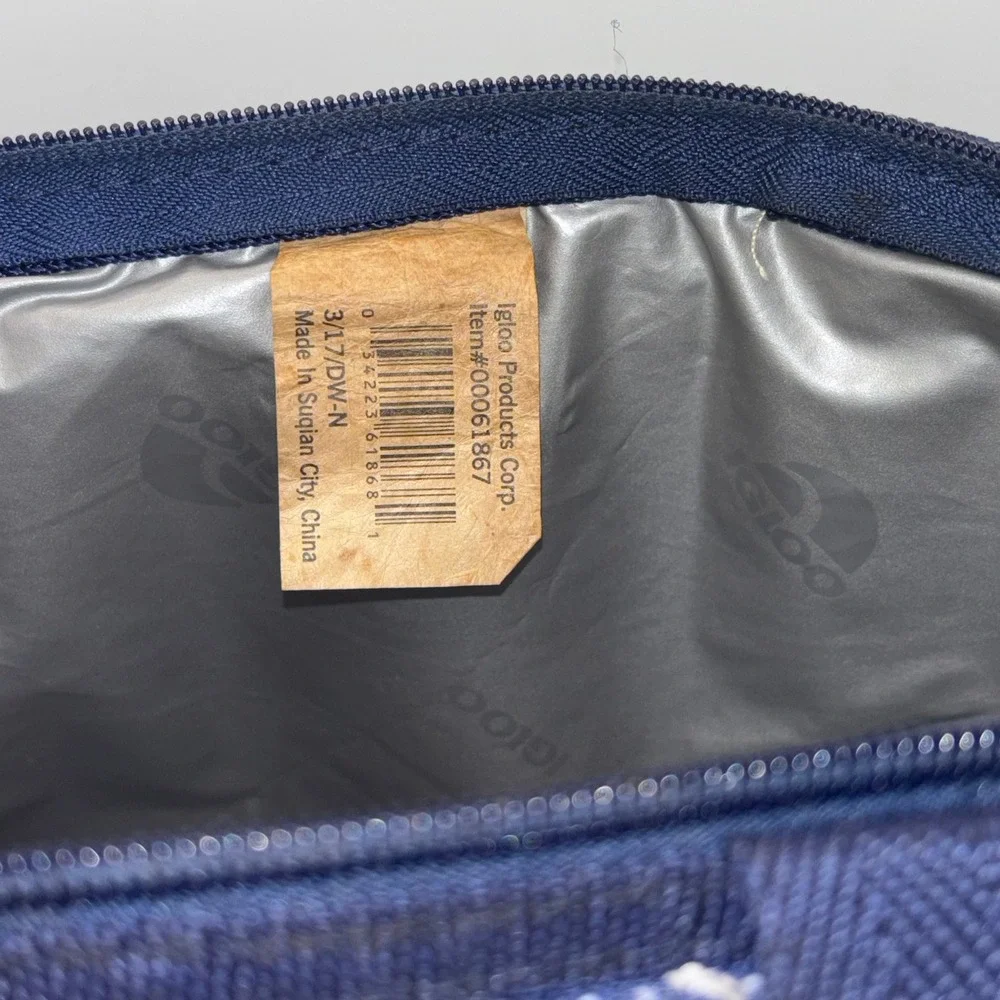 Igloo Insulated Lunch Tote Bag Blue Paisley Pattern Soft Side Cooler 9 Can‎